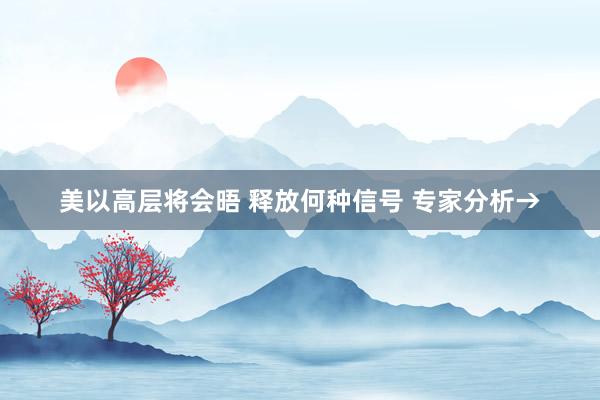 美以高层将会晤 释放何种信号 专家分析→