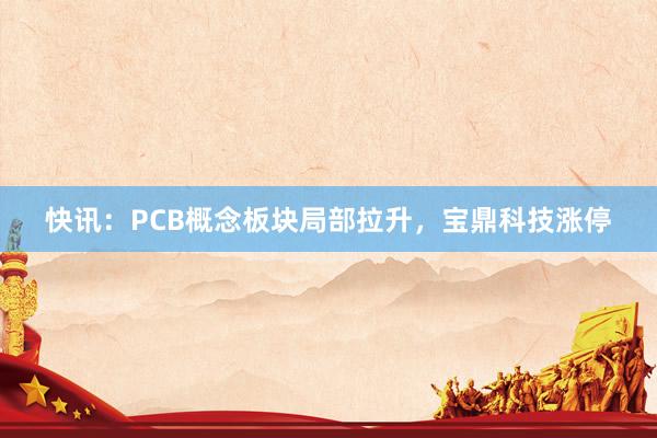 快讯：PCB概念板块局部拉升，宝鼎科技涨停