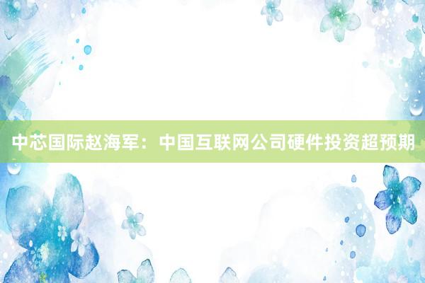 中芯国际赵海军：中国互联网公司硬件投资超预期