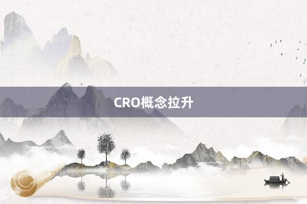 CRO概念拉升