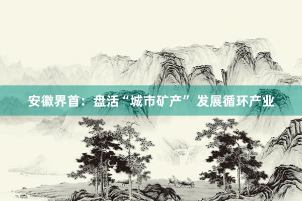 安徽界首：盘活“城市矿产” 发展循环产业