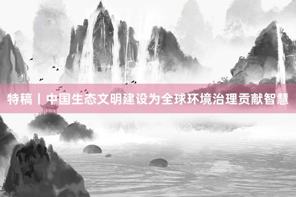 特稿丨中国生态文明建设为全球环境治理贡献智慧