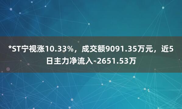 *ST宁视涨10.33%，成交额9091.35万元，近5日主力净流入-2651.53万