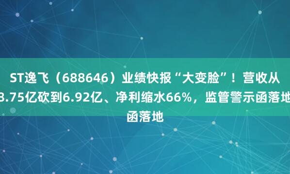 ST逸飞(688646)业绩快报“大变脸”!营收从8.75亿砍到6.92亿、净利缩水66%,监管警示函落地