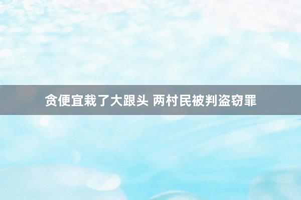贪便宜栽了大跟头 两村民被判盗窃罪