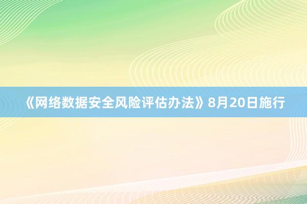 《网络数据安全风险评估办法》8月20日施行