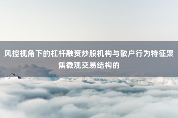 风控视角下的杠杆融资炒股机构与散户行为特征聚焦微观交易结构的