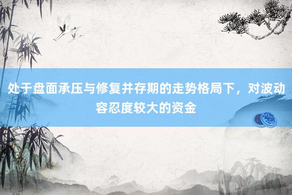 处于盘面承压与修复并存期的走势格局下，对波动容忍度较大的资金