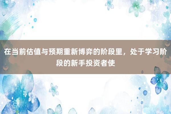 在当前估值与预期重新博弈的阶段里，处于学习阶段的新手投资者使