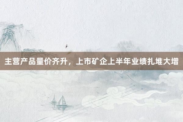 主营产品量价齐升，上市矿企上半年业绩扎堆大增