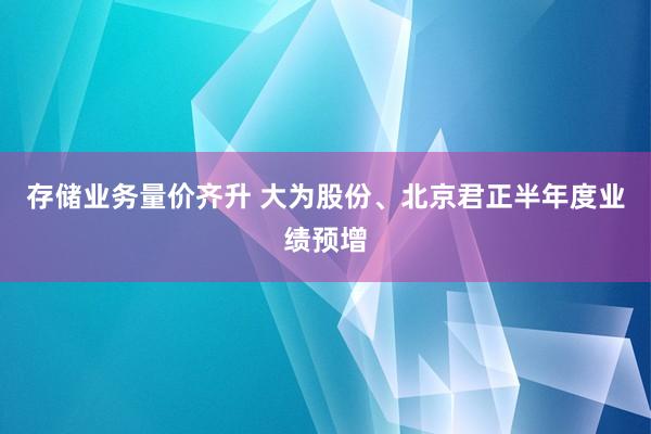 存储业务量价齐升 大为股份、北京君正半年度业绩预增