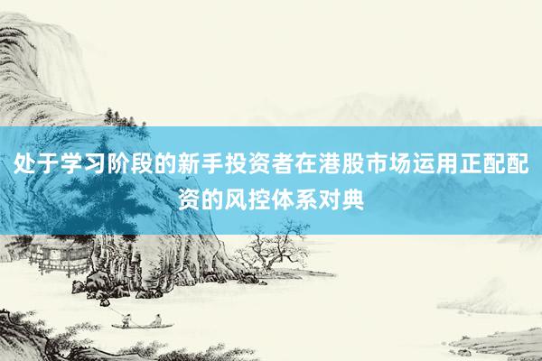 处于学习阶段的新手投资者在港股市场运用正配配资的风控体系对典
