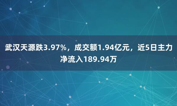武汉天源跌3.97%，成交额1.94亿元，近5日主力净流入189.94万