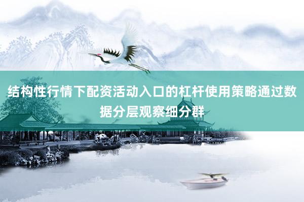 结构性行情下配资活动入口的杠杆使用策略通过数据分层观察细分群