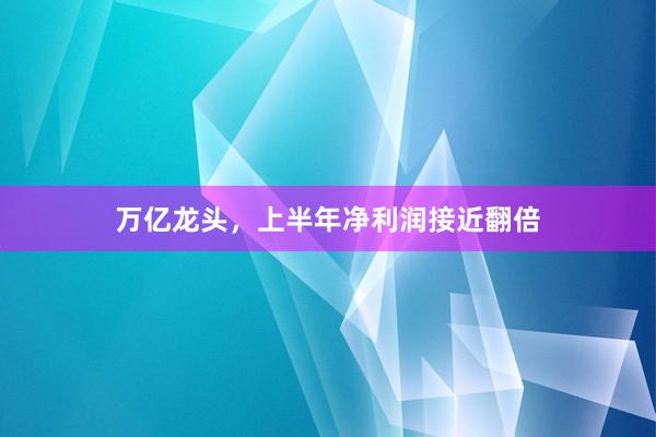 万亿龙头，上半年净利润接近翻倍