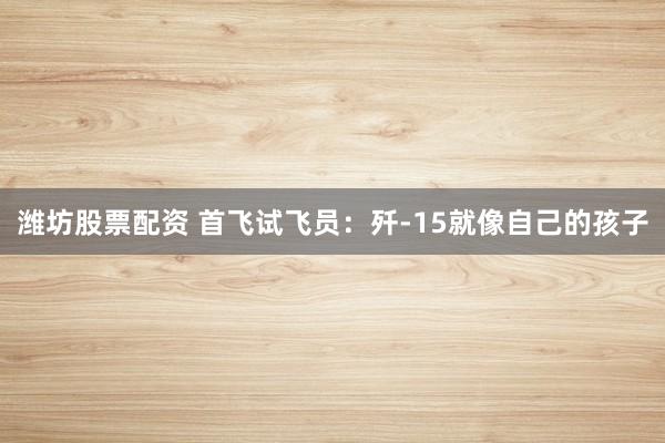 潍坊股票配资 首飞试飞员：歼-15就像自己的孩子
