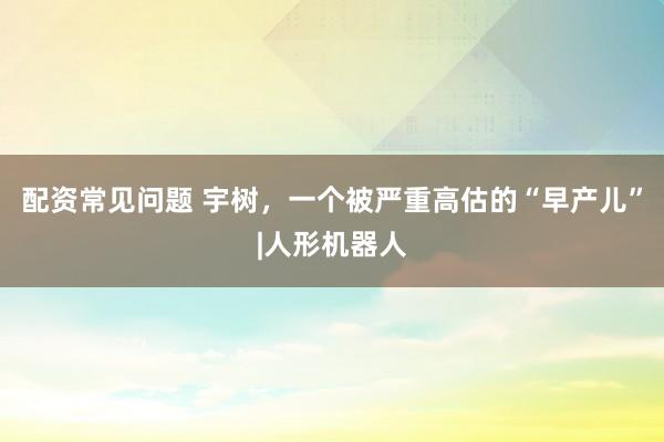 配资常见问题 宇树，一个被严重高估的“早产儿”|人形机器人