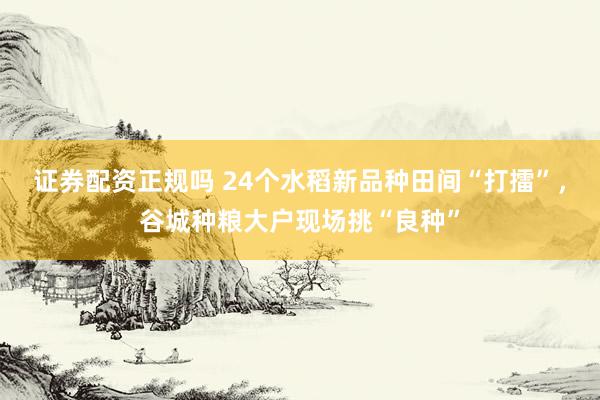 证券配资正规吗 24个水稻新品种田间“打擂”，谷城种粮大户现场挑“良种”