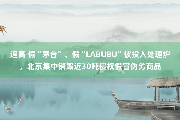 追高 假“茅台”、假“LABUBU”被投入处理炉，北京集中销毁近30吨侵权假冒伪劣商品