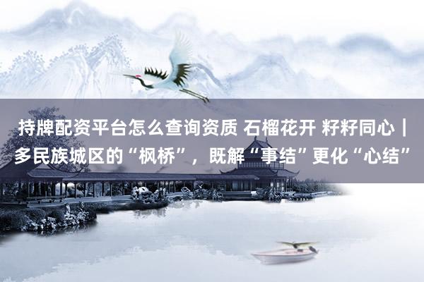 持牌配资平台怎么查询资质 石榴花开 籽籽同心｜多民族城区的“枫桥”，既解“事结”更化“心结”