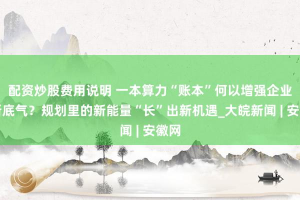 配资炒股费用说明 一本算力“账本”何以增强企业创新底气？规划里的新能量“长”出新机遇_大皖新闻 | 安徽网