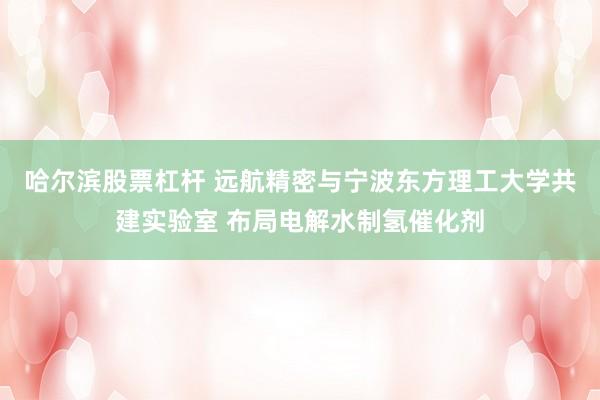 哈尔滨股票杠杆 远航精密与宁波东方理工大学共建实验室 布局电解水制氢催化剂