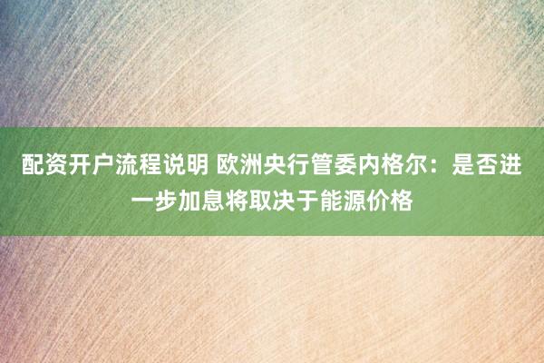 配资开户流程说明 欧洲央行管委内格尔：是否进一步加息将取决于能源价格